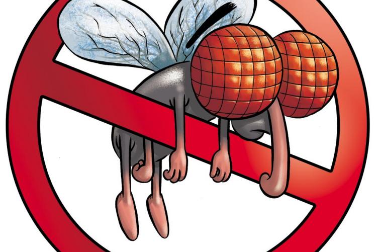 ORDINANZA - LOTTA CONTRO L'INFESTAZIONE MUSCINA (MOSCHE)